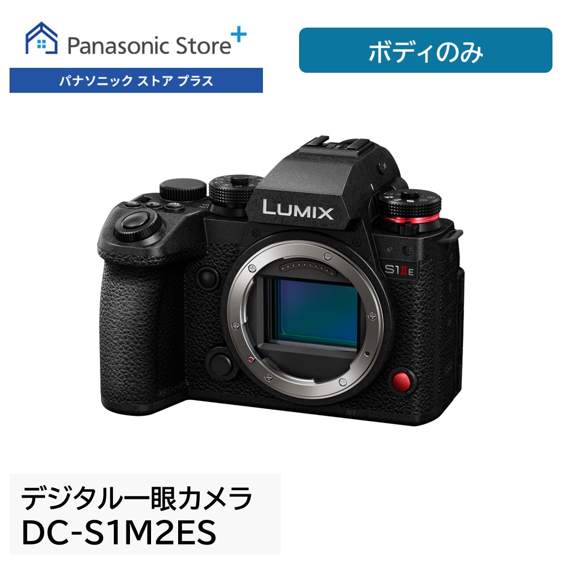 美品 レア Panasonic LUMIX GF2 ミラーレス一眼 ボディ パナソニック