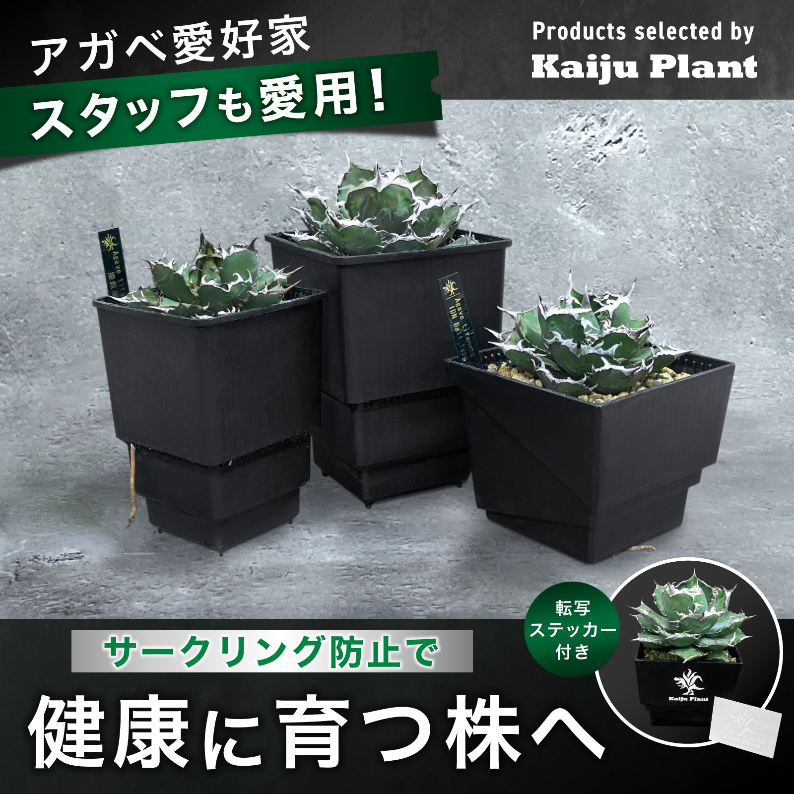 Kaiju Plant メッシュポット サークリングしない プラ鉢 アガベ 多肉