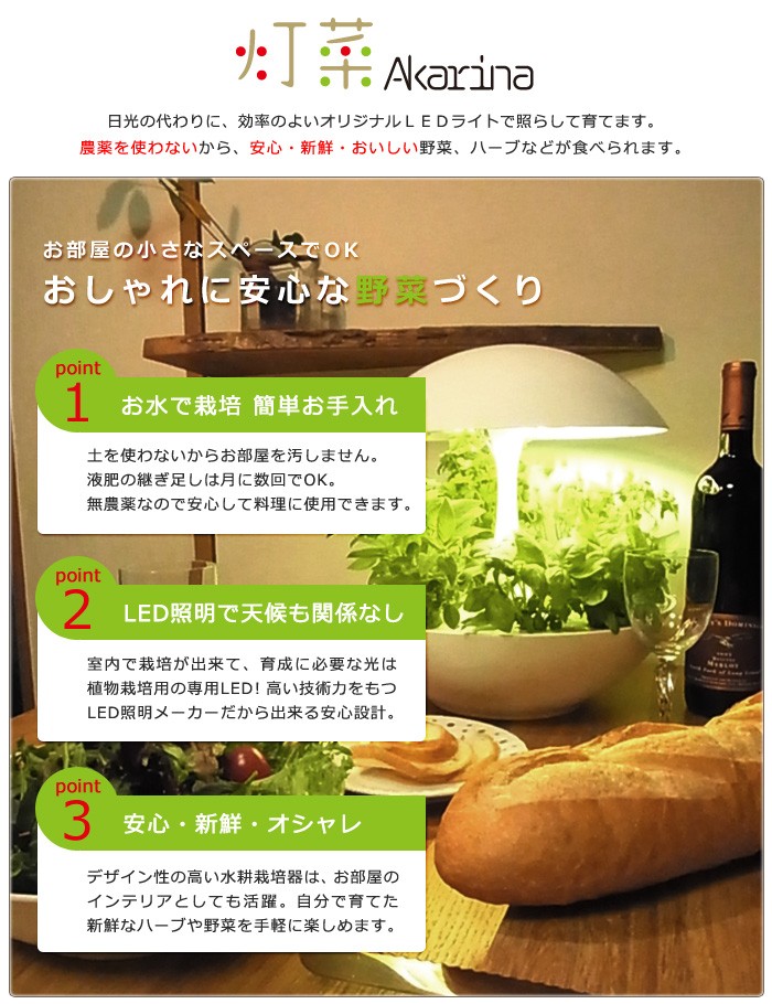 LED水耕栽培 植物育成器 灯菜（アカリーナ） 野菜 ハーブ お花