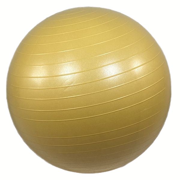 バランスボール バランスクッション 65cm 55cm 筋トレ トレーニング