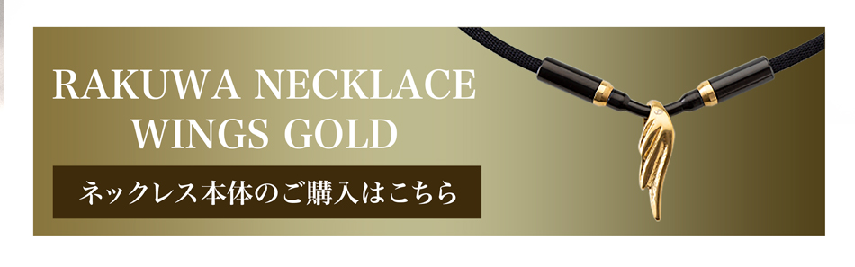 Phiten（ファイテン） RAKUWAネックレス ウイングス トップパーツ