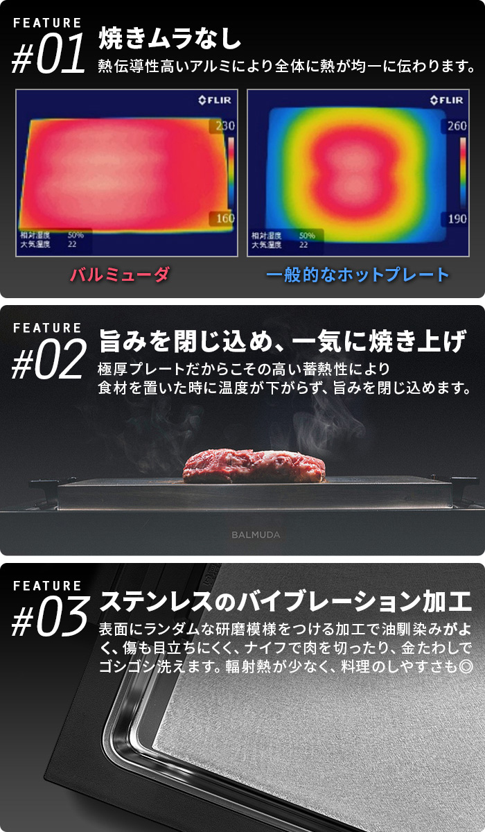 BALMUDA（バルミューダ） 【正規店】バルミューダ ザ・プレート プロ