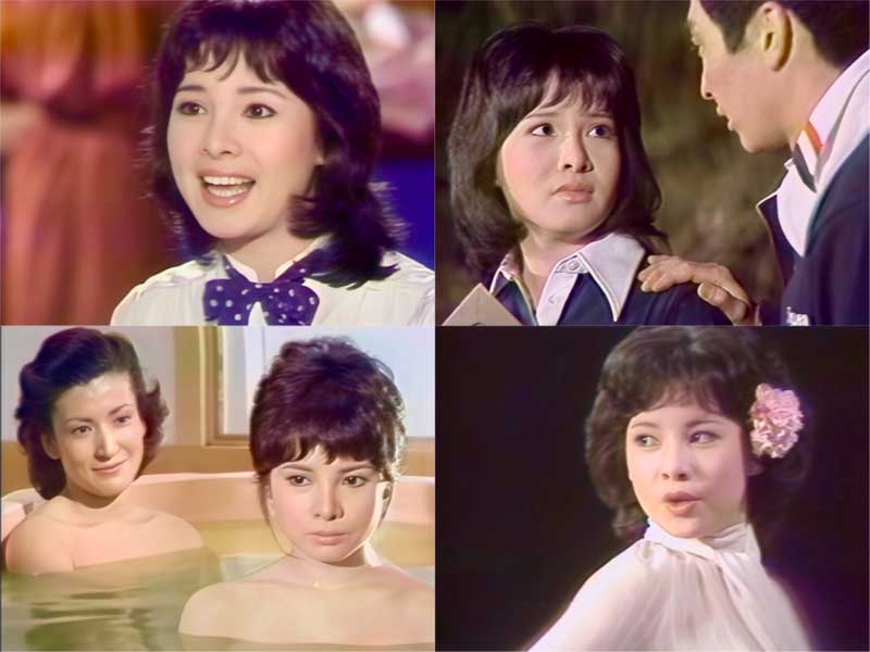 由美かおる主演 美しき背信 コレクターズDVD 昭和の名作ライブラリー