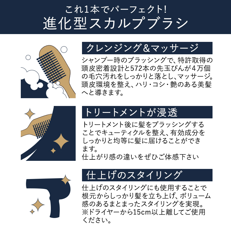 DR ドクタースカルプ ザ・ブラシュ|DR SCALP サロン専売 美容室専売