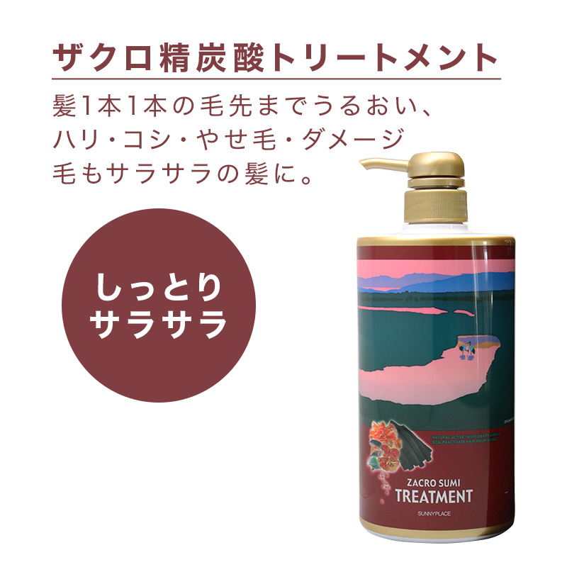 SUNNY PLACE（サニープレイス） ザクロ精炭酸シャンプー 800ml詰替用 1