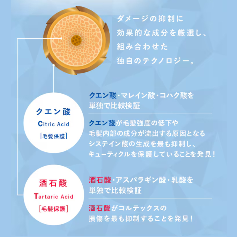 hoyu（ホーユー） プロマスター パワーブリーチ 500g + ケアプレックス