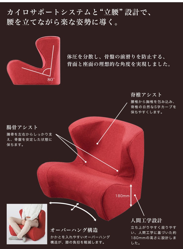 Style（スタイル） MTG ドクターチェア Style Dr.CHAIR ST-DC2039F 2色