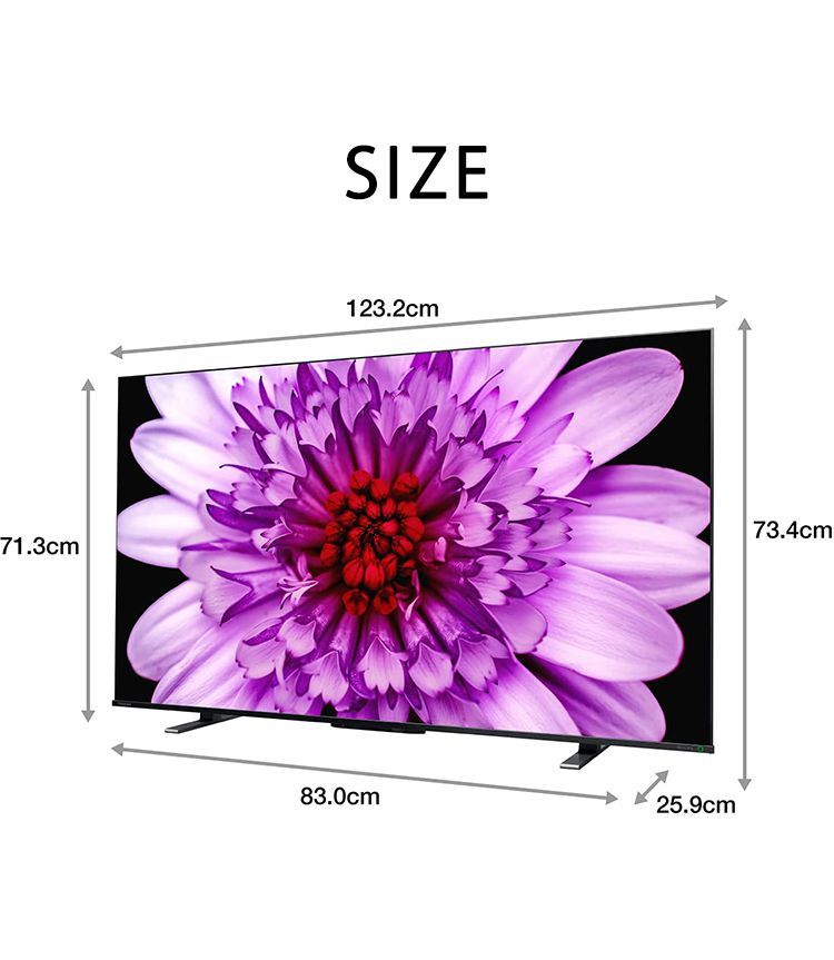 4K液晶テレビ REGZA レグザ 55V型 TOSHIBA 東芝 TV 4Kダブルチューナー