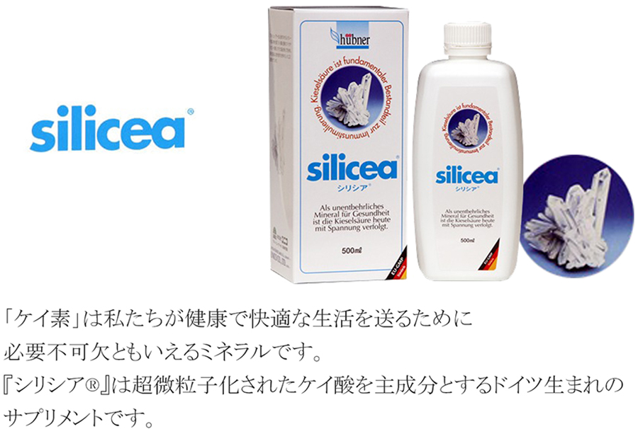 シリシア silicea 500ml 持ち運びに便利な携帯容器プレゼント中 シリカ