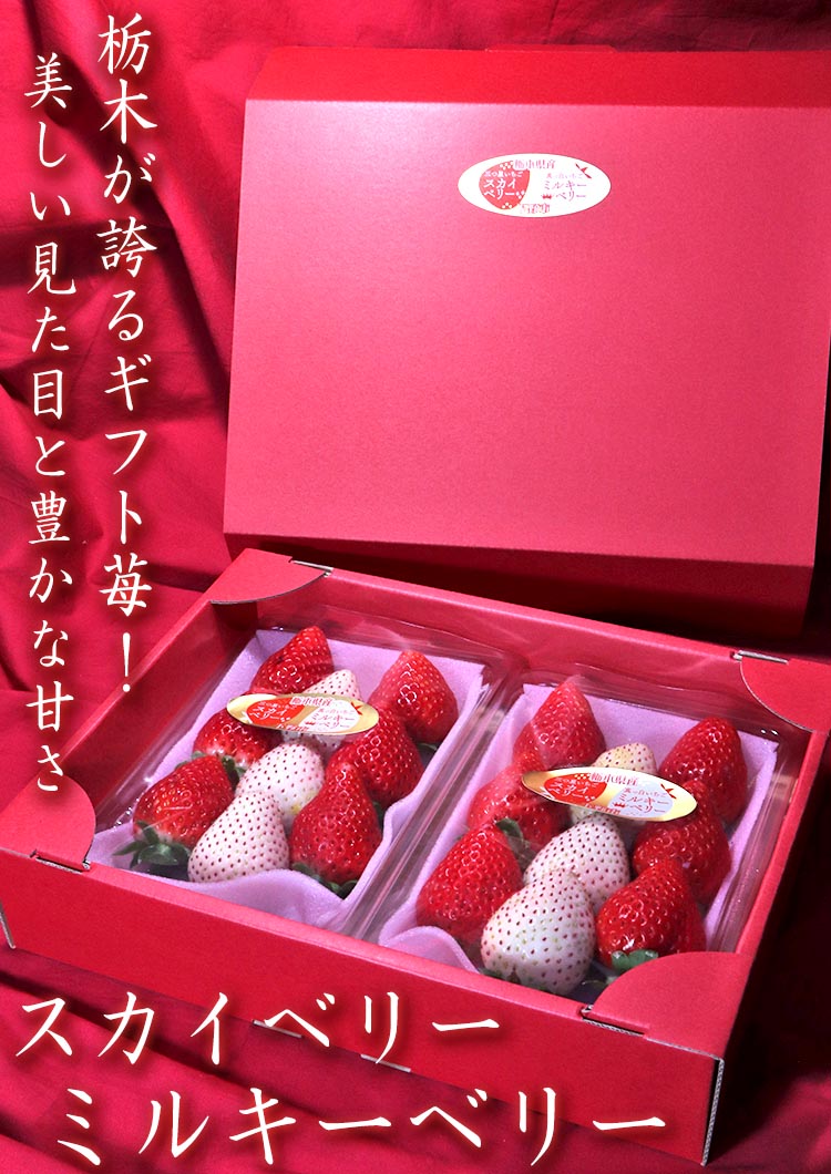 紅白いちごセット スカイベリー・ミルキーベリー 約300g×2パック 栃木