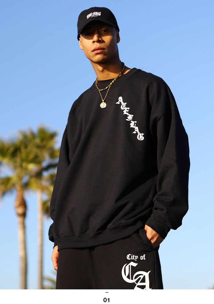 ACEFLAG（エースフラッグ） トレーナー ブランド スケボー 長袖