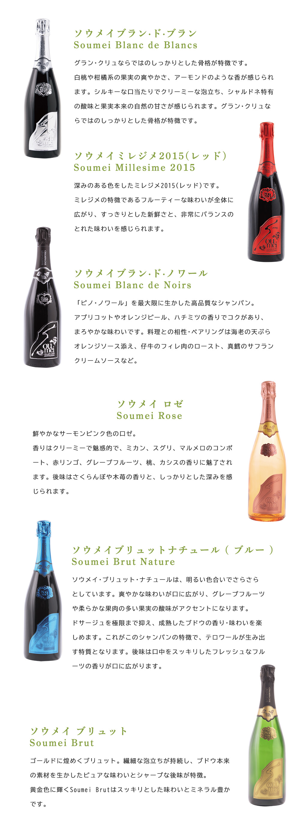 送料無料 正規品】【豪華アタッシュケース】ソウメイ ル セクス