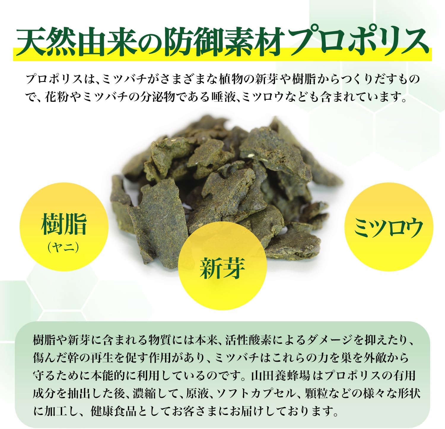 山田養蜂場 プロポリス300 100球袋入 プロポリス サプリメント サプリ