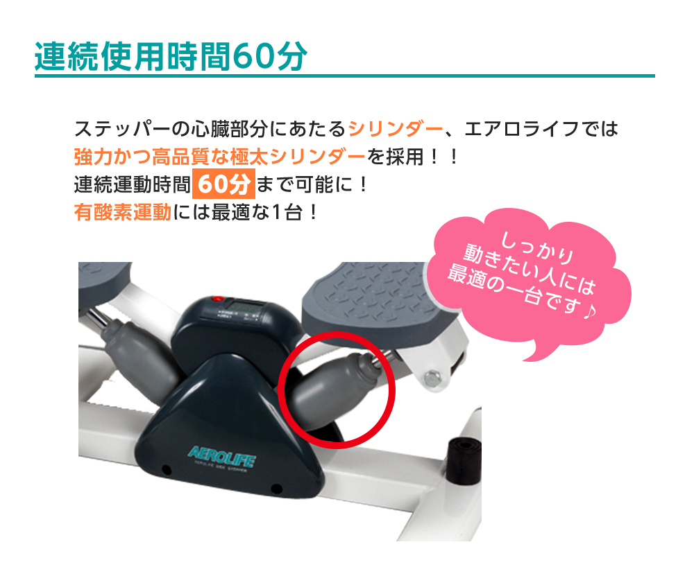 AEROLIFE（エアロライフ） 送料無料「エアロライフ サイドステッパー