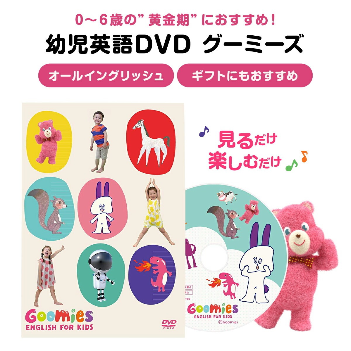 あおいよるのゆめ＋Goomies DVD 絵本とDVD お得セット ガブリエーレ