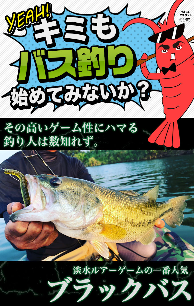 ブラックバス釣り入門セットEX [スピニングモデル][タイプ-1]【代引き