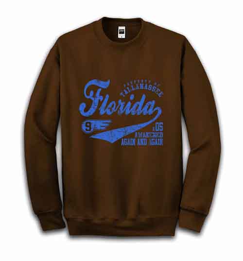 フロリダ カレッジロゴ】メンズ スウェット スエット トレーナー : FOX