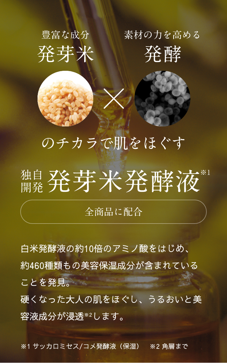 FANCL公式ショップ Yahoo!店 - ビューティブーケ｜Yahoo!ショッピング