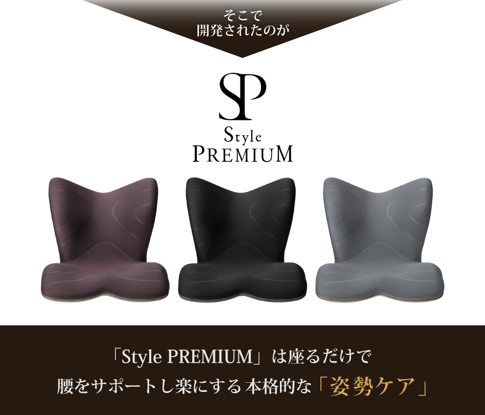 Style（スタイル） 爆買 姿勢ケアシート Style PREMIUM プレミアム MTG