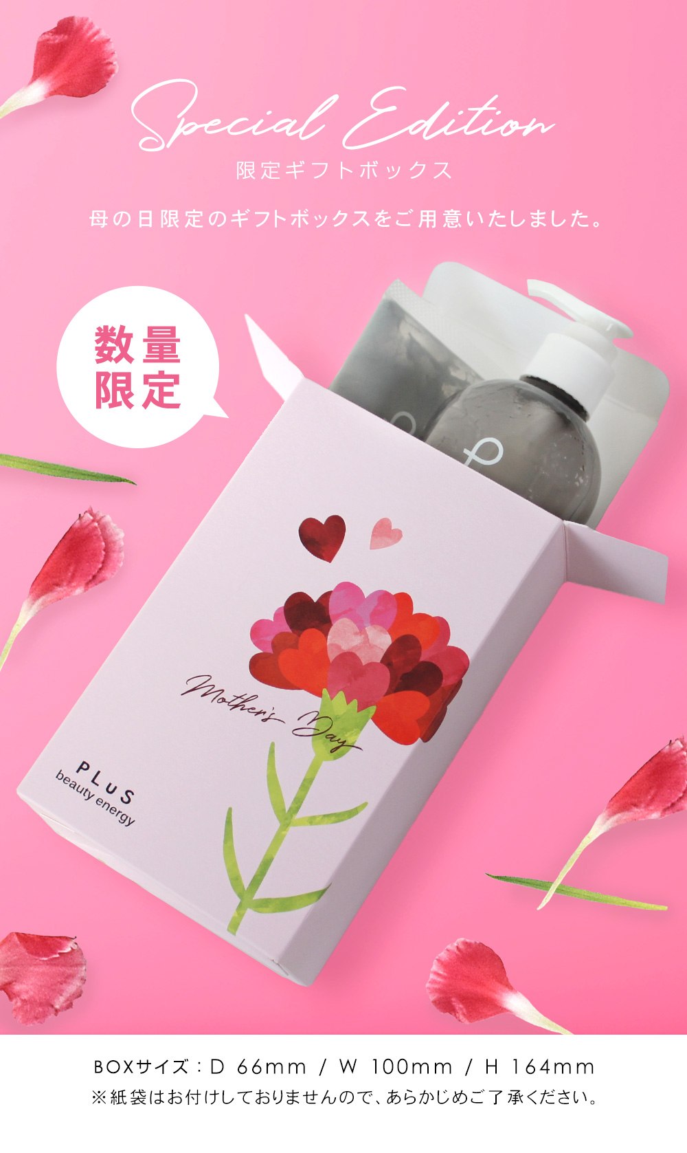 プリュ 母の日 クレンジング洗顔セット 2025 ルイール オンラインショップ