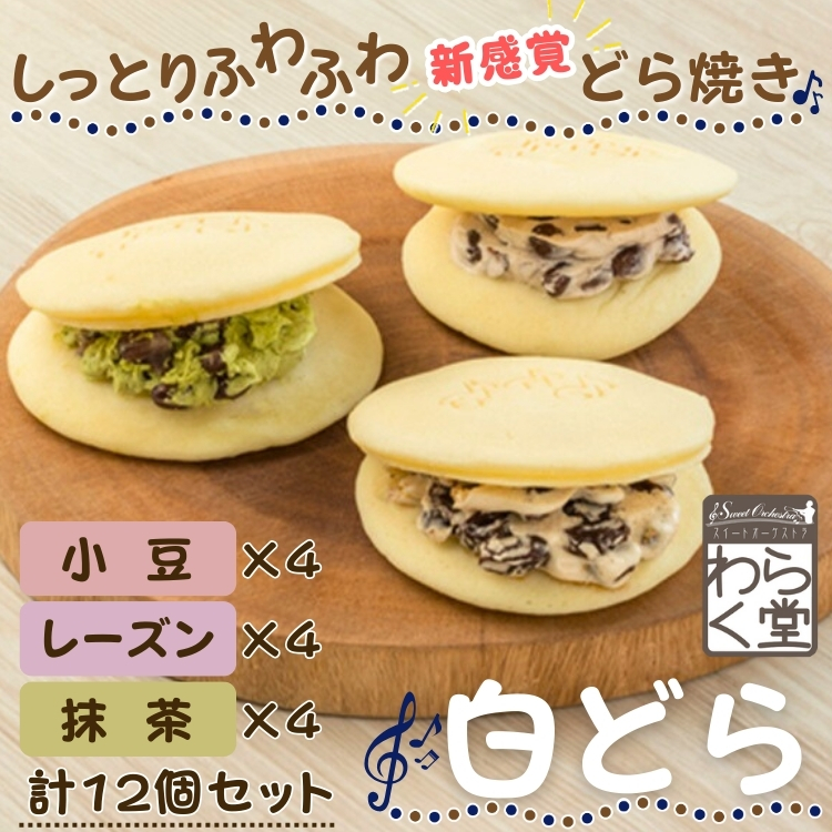 おやつTIMES 福井の羽二重もち きなこ味 10個セット 送料無料【の