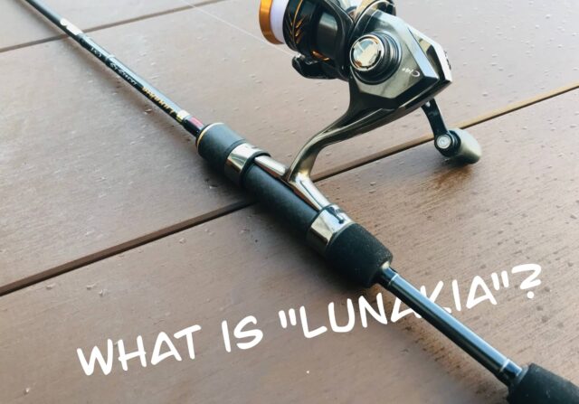 天龍「ルナキア LK582S-LS」をインプレ！荷重感度を極めたクセ強ロッド