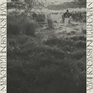 Album “My Favorite Things” | 柴田聡子 / SHIBATA SATOKO | 柴田聡子