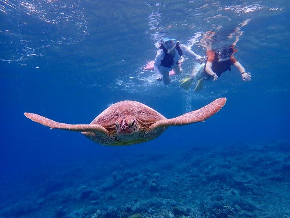 座間味島｜シュノーケリング＆伝統木造帆船サバニ体験＆無人島上陸