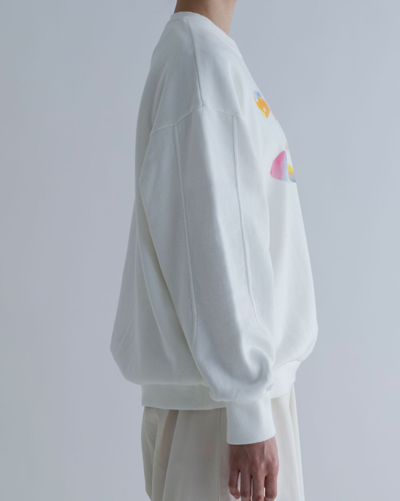 MEYAME】PRINT SWITCHING PATTERN SWEAT – Shinzone