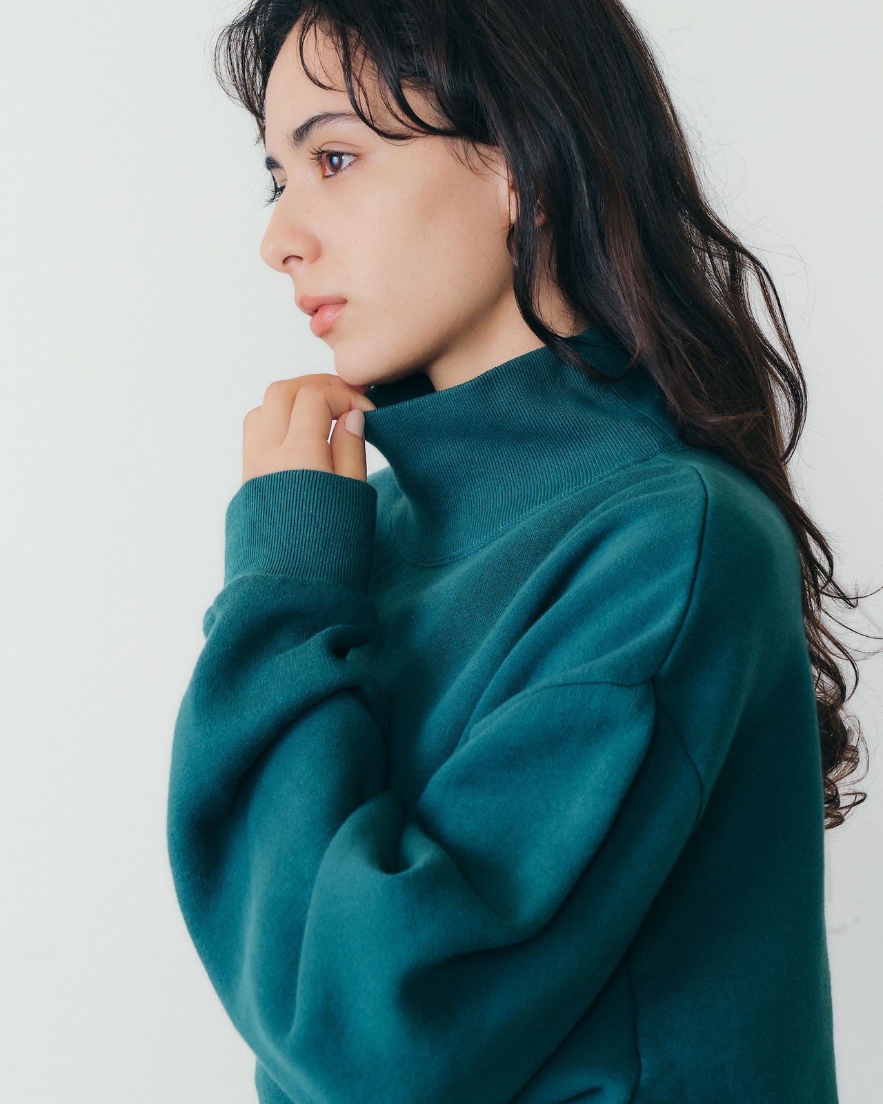 HIGH NECK COMMON SWEATSHIRT – Shinzone