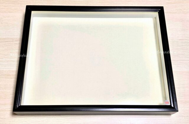 バードウィング (ドイツ型 標本箱) 信頼される2つの理由と注意点を