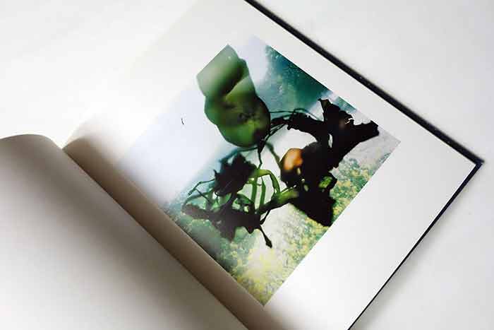 ジュン OUTSIDE IN スティーブン・ギル アートブック ジュン OUTSIDE