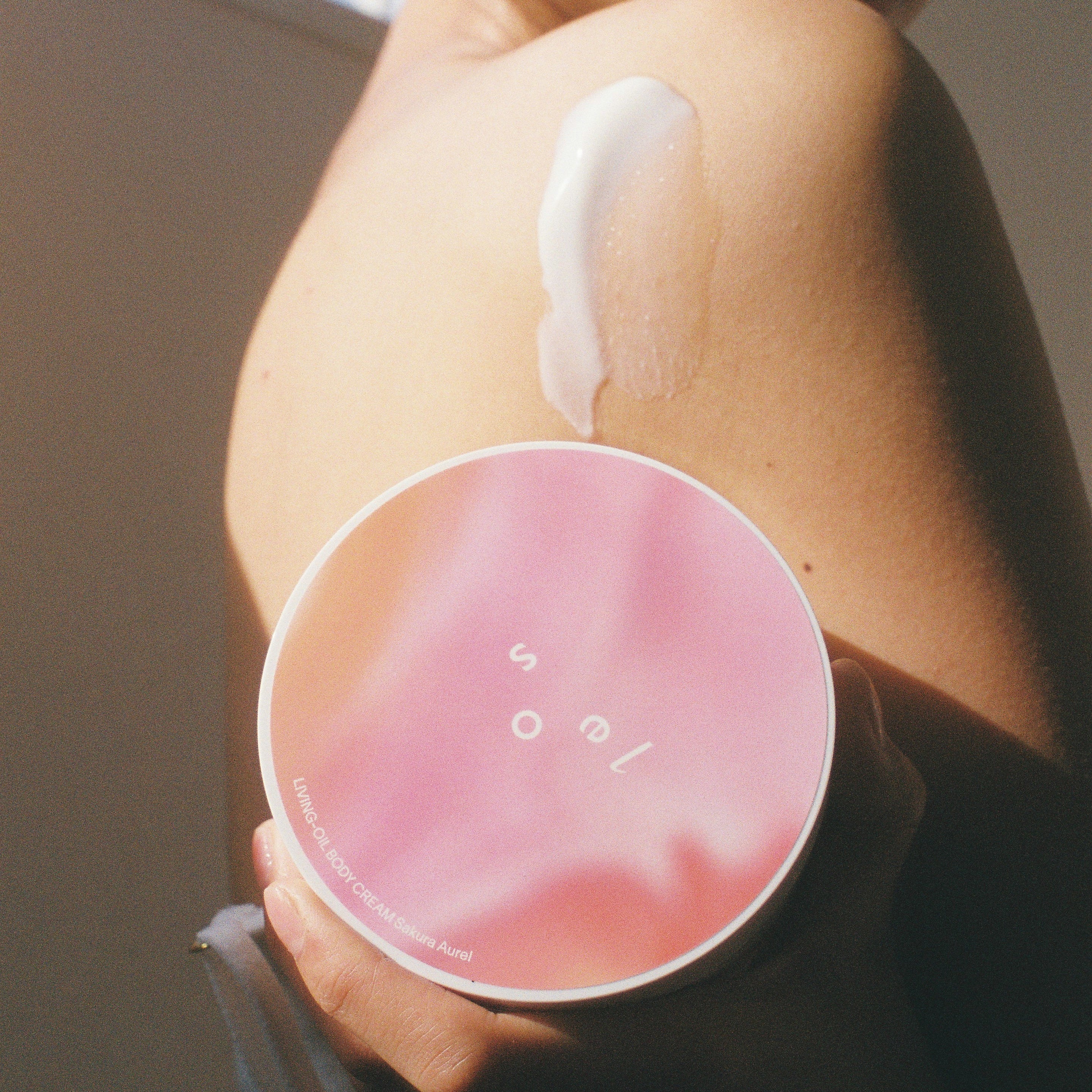 限定 Sakura Aurel セット