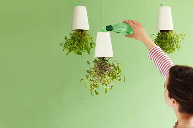上下が逆さまになった植木鉢、Skyplanter (スカイプランター)