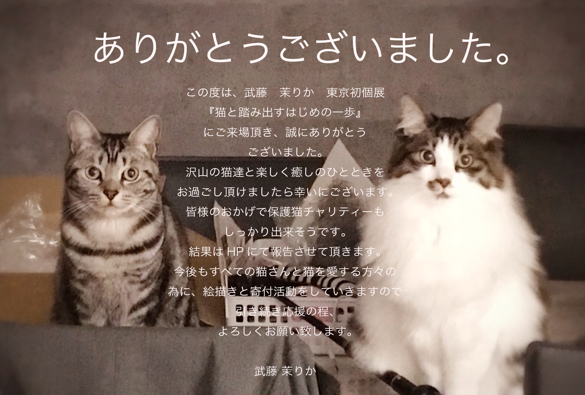 うちのこ肖像画 売り上げの一部を地元の犬猫保護団体に