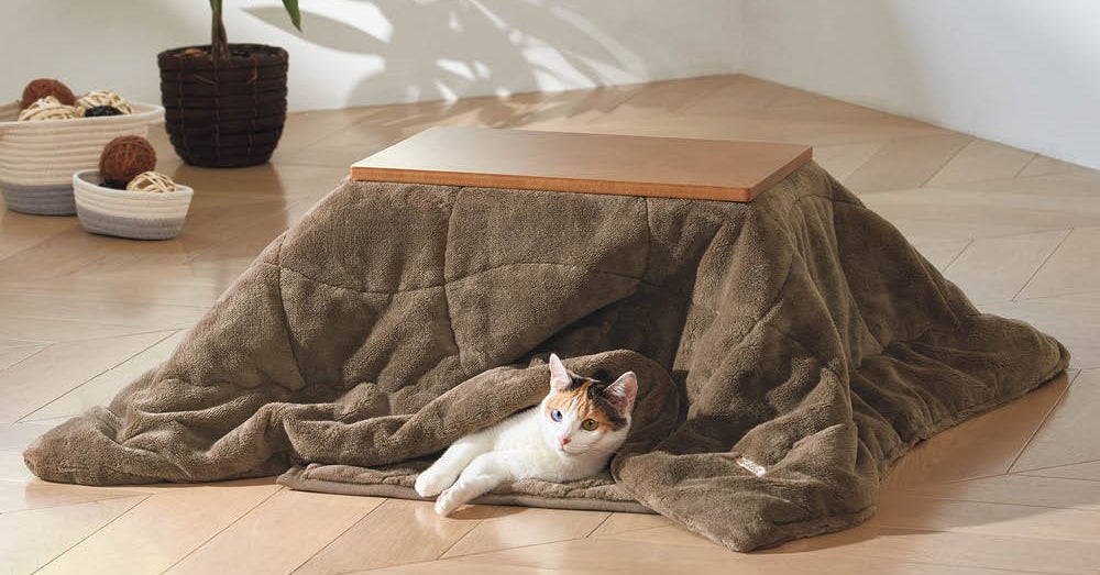 New heater-less pet kotatsu is a safe way to keep your furry