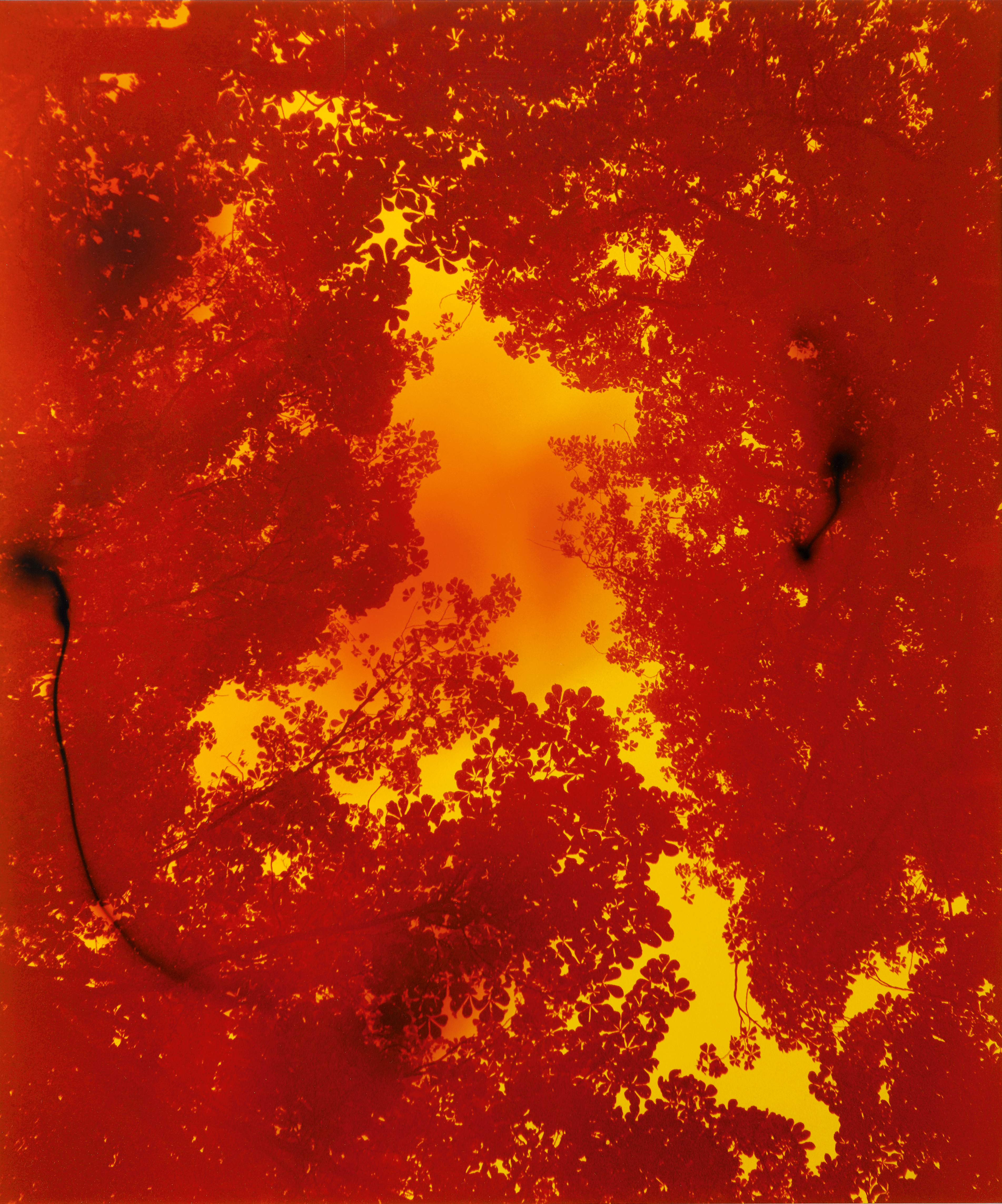 Wolfgang Tillmans' Poetic Abstraction | Photographs | Sotheby's