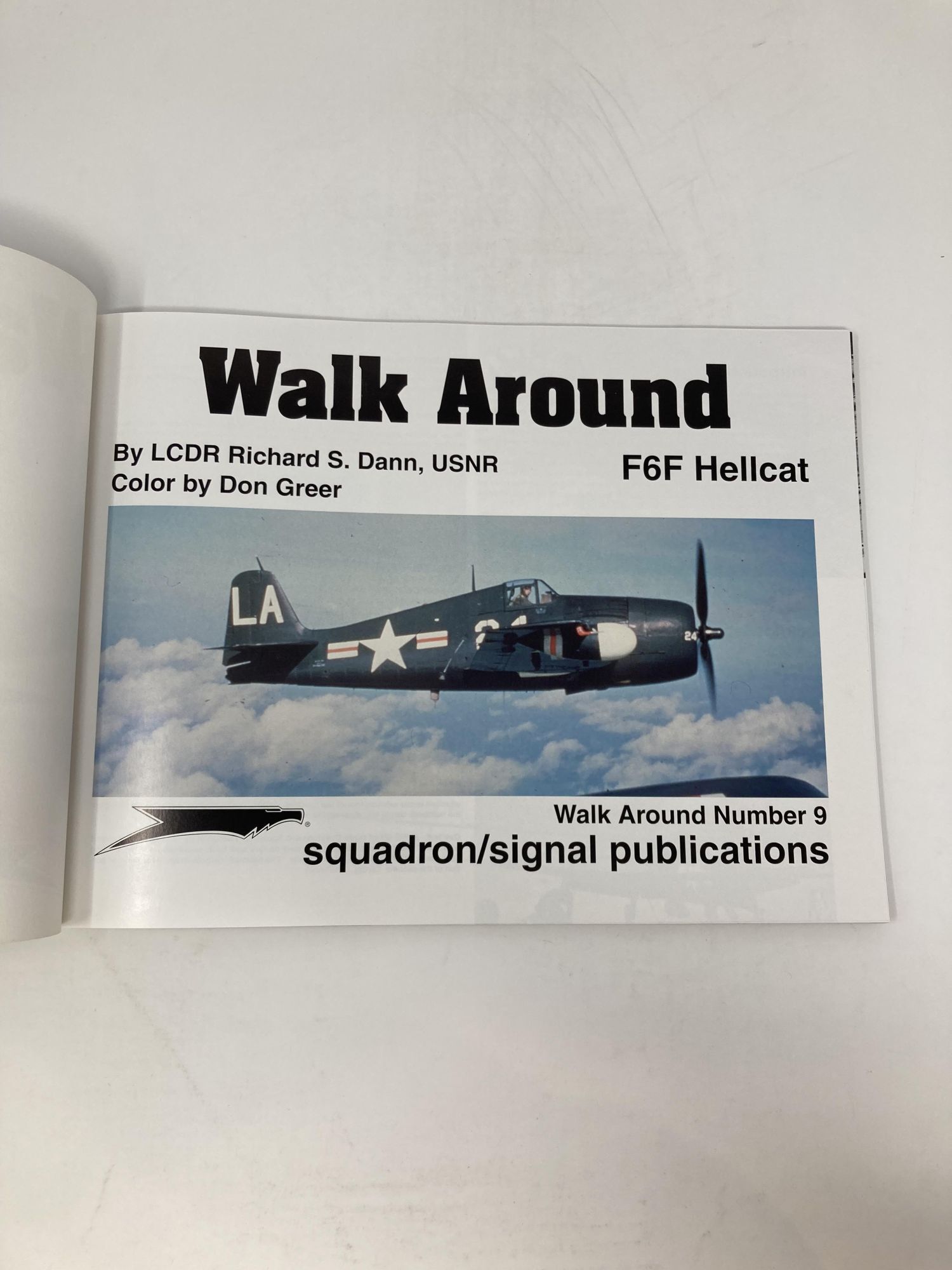 F6F Hellcat - Walk Around No. 9 | USNR LCDR Richard S. Dann