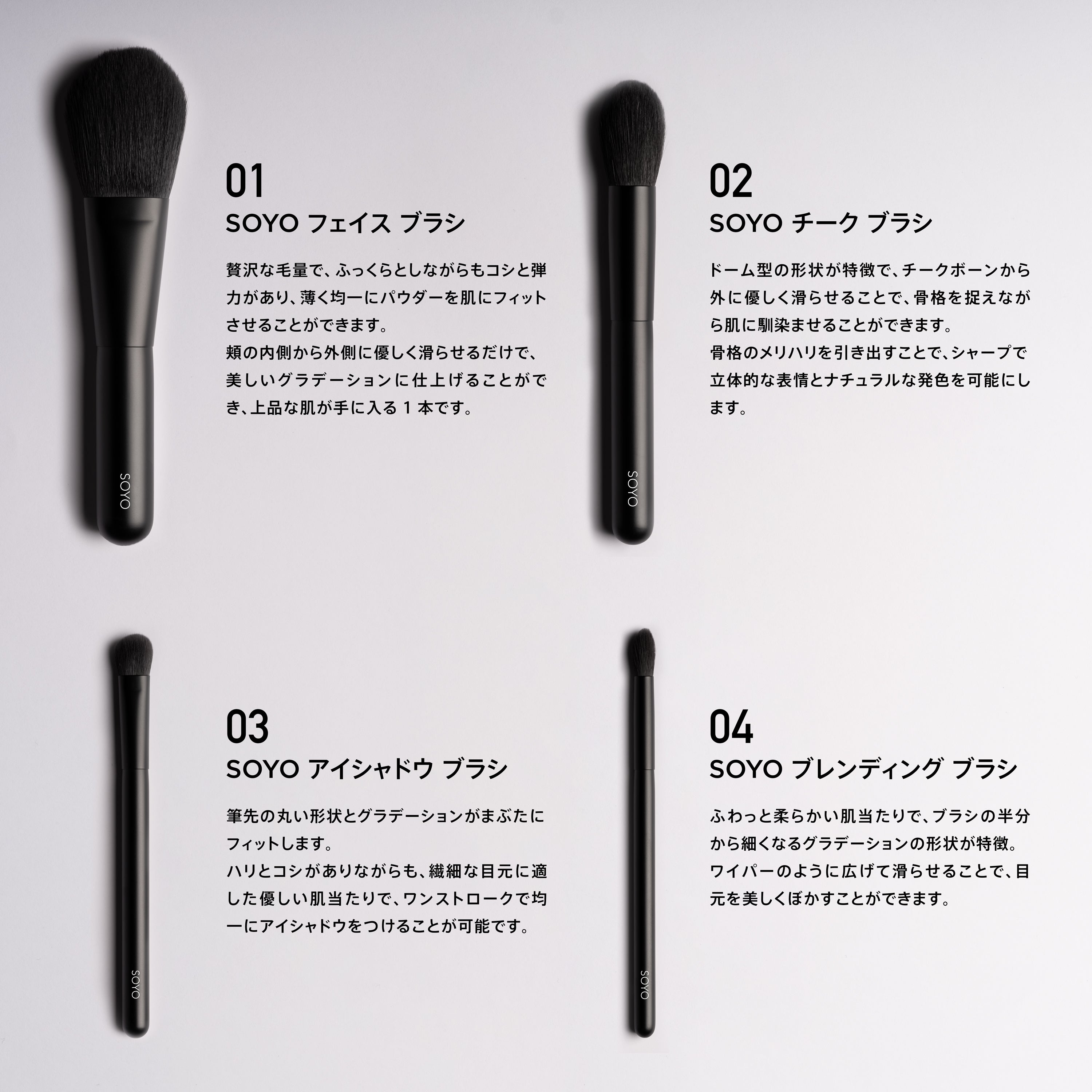 SOYO ディスカバー セット（10本＋ケース付）