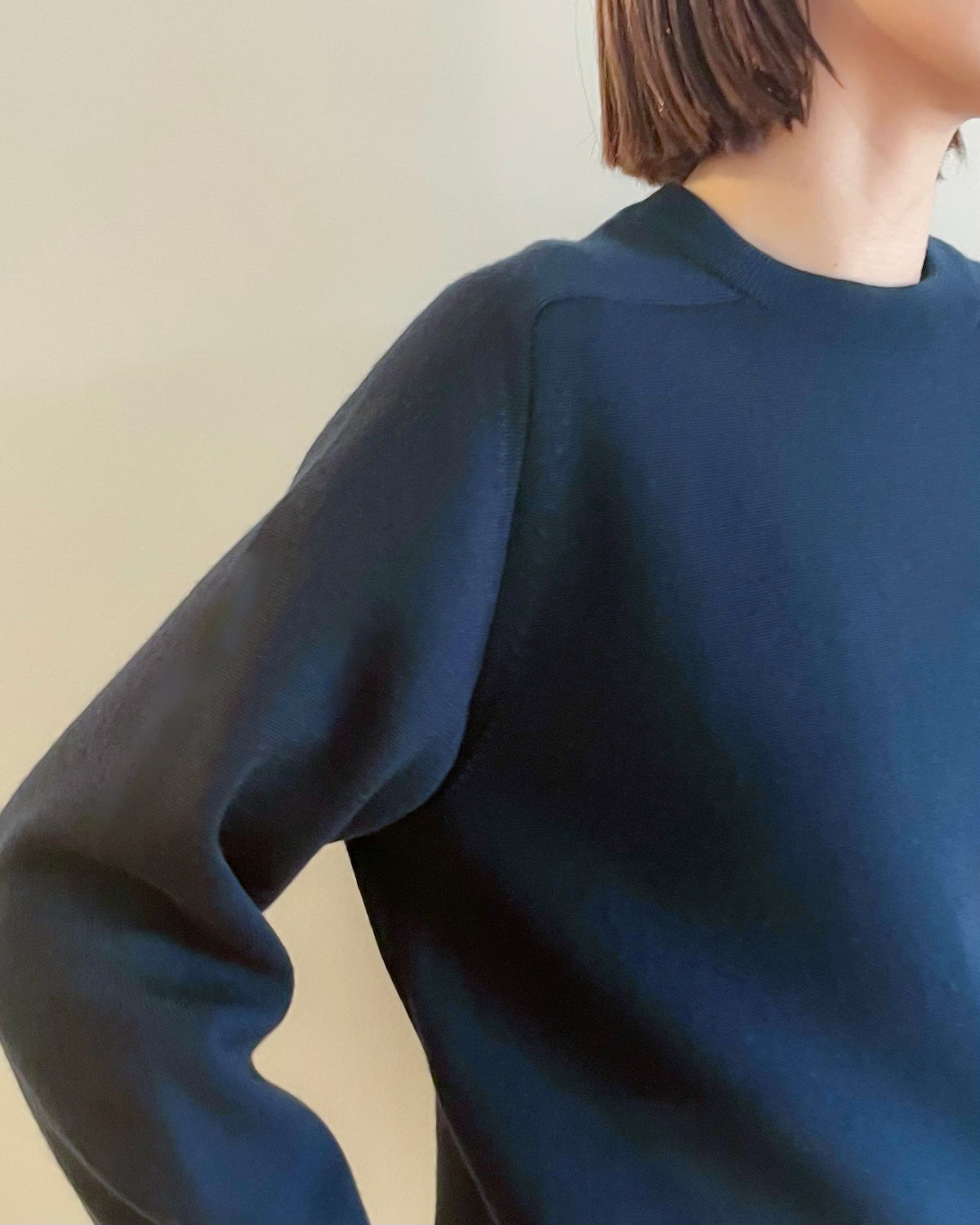 UNISEX】12G天竺 ダブルフェイス クルーネック SL8W-495