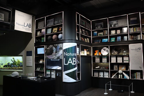 生きものから着想を得た最新科学バイオミミクリーの企画展 「Nature