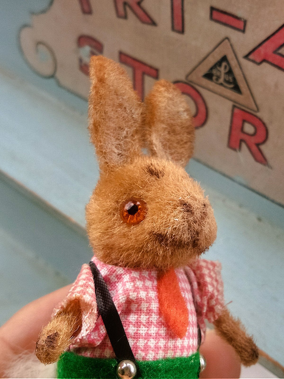 緑のパンツ履いたうさぎの男の子 ドイツ WAGNER kunstlerschutz - SNAP