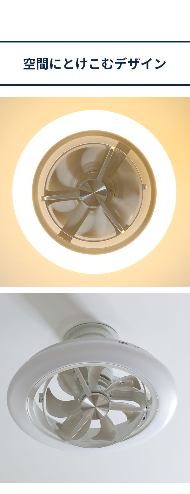 ドウシシャ 【選べる豪華特典】 サーキュライト EZシリーズ スイング12