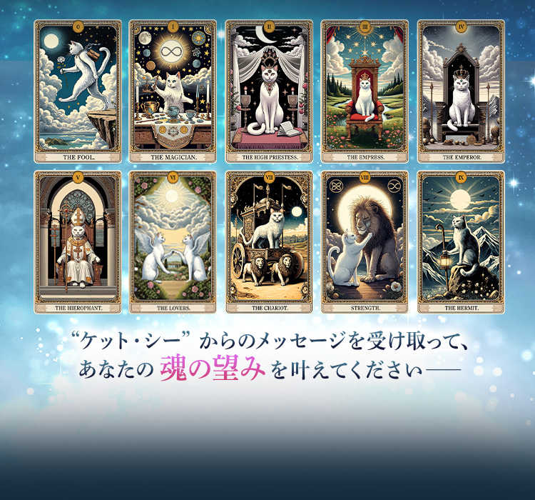 運命大転換！幸運引き寄せ願い叶える妖精猫【Reiko】ソナスタロット
