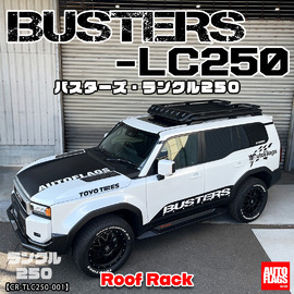 前期型～中期型 デリカD5専用】BUSTERSリアラダー 商品詳細【オート