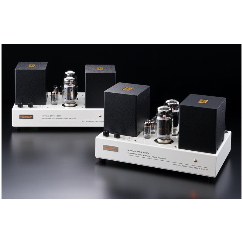 Fascination117 [パワーアンプ]（完成品）【受注生産・通常納期約180日