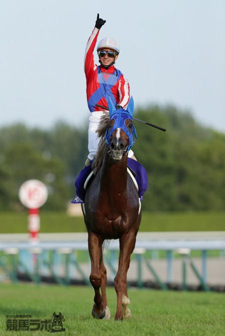 菊花賞】トーホウジャッカル超速レコードV！史上最速菊制覇 | 競馬