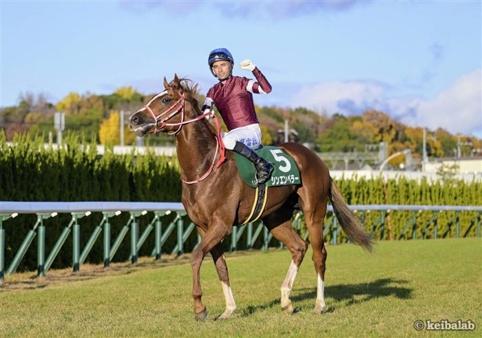 ディープインパクト 日本ダービー 日本優駿 新旧 10枚ずつ ディープ