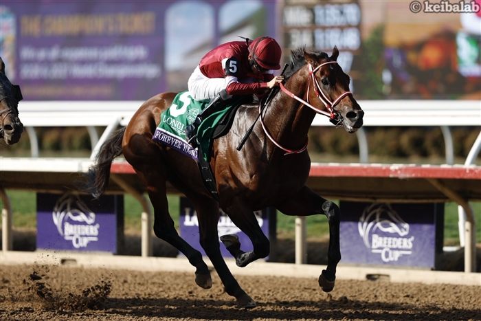 カランダガン - Calandagan - 競走馬データベース | 競馬ラボ