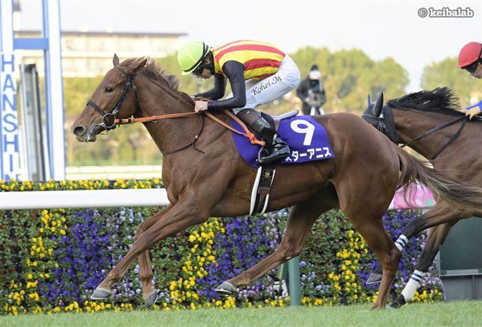 阪神ジュベナイルフィリーズの単勝・複勝・枠連オッズ【2025年12月14日